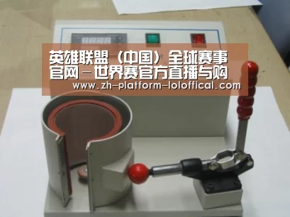 LOL世界赛官网案例展示六