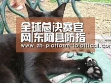 全球总决赛官网|东阿县防指滑口分指挥部成员认领黄河防汛责任段(图1) LOL世界赛官网