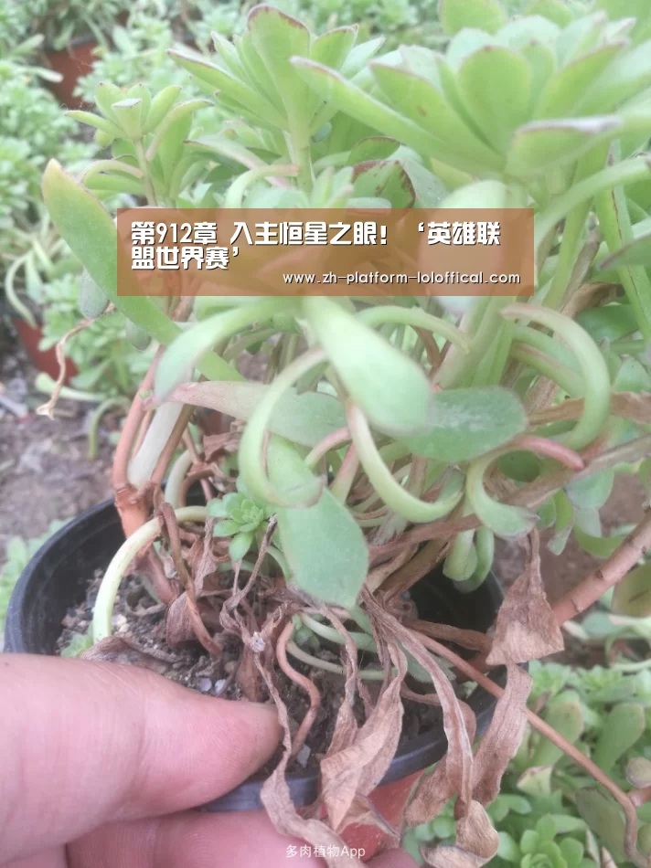 第912章 入主恒星之眼!‘英雄联盟世界赛’(图3) 全球总决赛官网